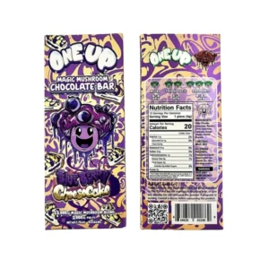 Blueberry Cheese Cake Magic Mushroom Chocolate Bar